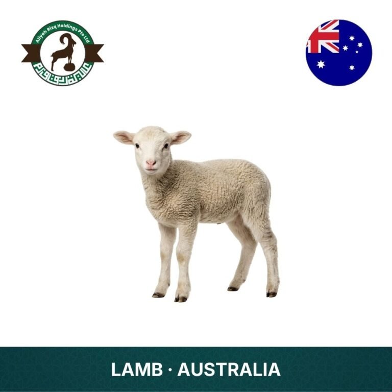 9_Lamb Australia